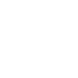 IEEE